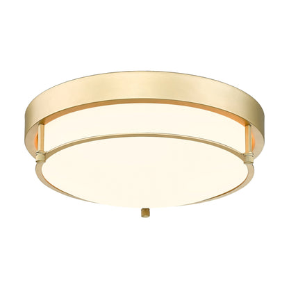 12 Inch 2-Light Flush Mount Light Fixture, Modern Ceiling Light