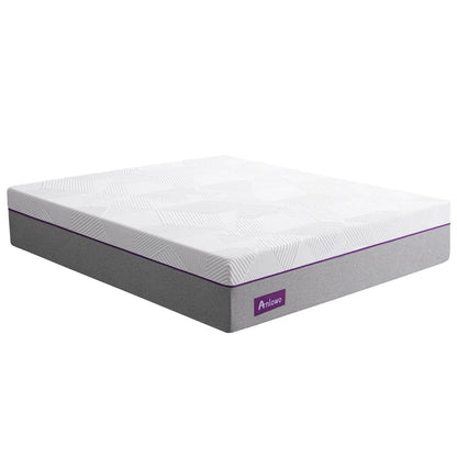 14'' Plush Gel Memory Foam Mattress in a Box