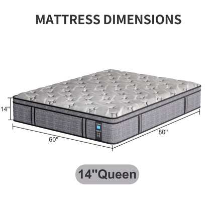 Modland 14'' Queen Hybrid Memory Foam Mattress in a Box - Pressure Relief & Motion Isolation, CertiPUR-US for Back Pain Relief