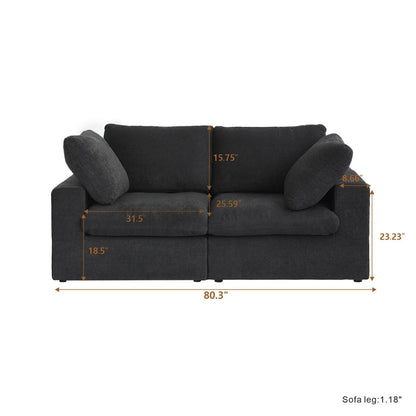 2 Seater Sofa Couch with Pillows for Living Room