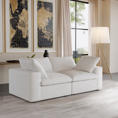 2 Seater Sofa Couch with Pillows for Living Room