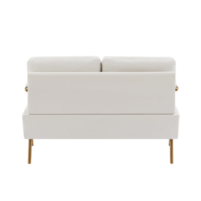 Beige Pet Friendly Fabric Loveseat Sofa with Removable Cushion
