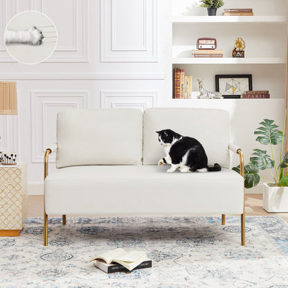 Beige Pet Friendly Fabric Loveseat Sofa with Removable Cushion