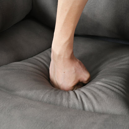 Elderly-Friendly Power Lift Recliner with Remote Control, Spacious Seat, Side Pocket, and Adjustable Angles