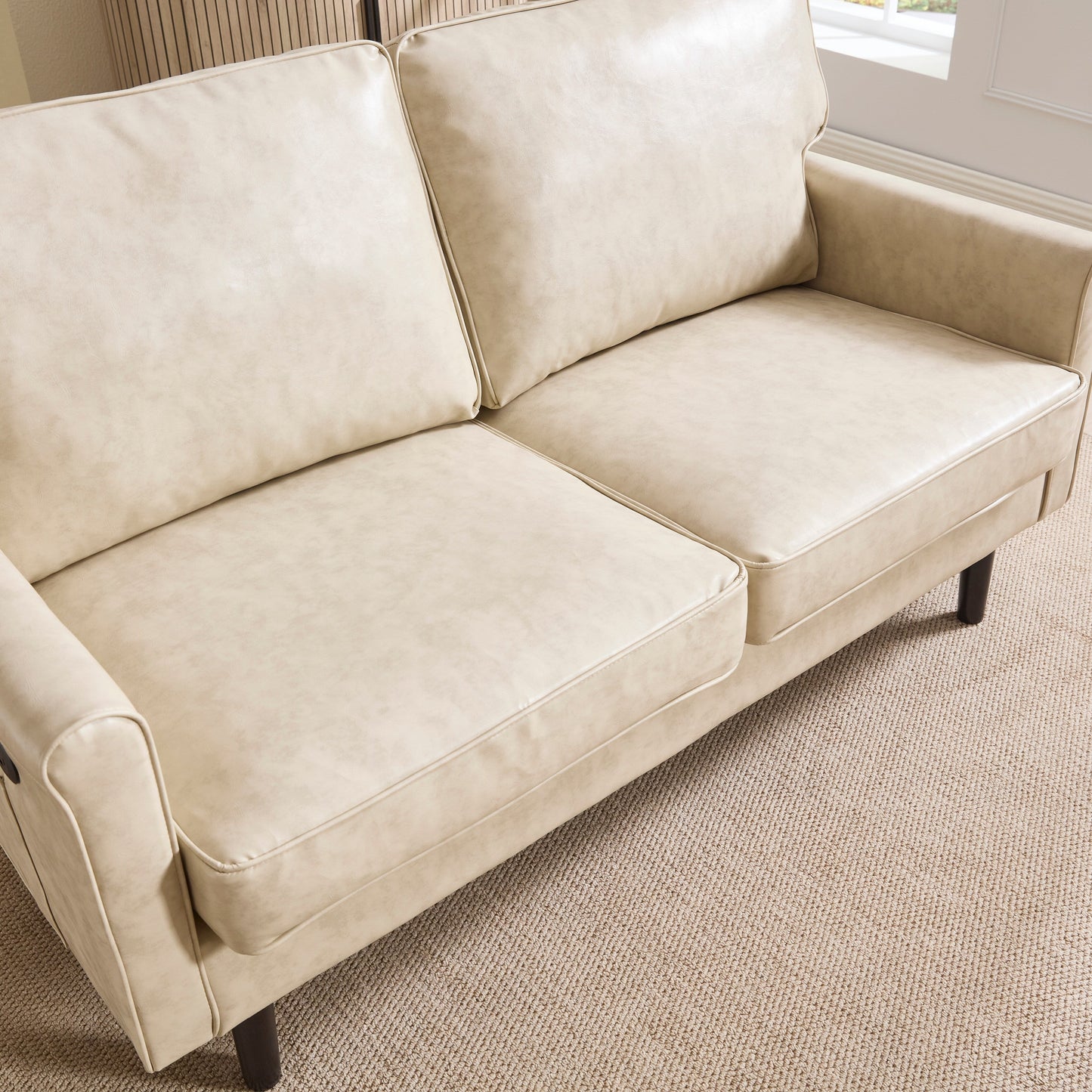 Loveseat Sofa, 2 Seater Sofa Couches for Living Room, Small Couch with USB & Removable Pillow Cover