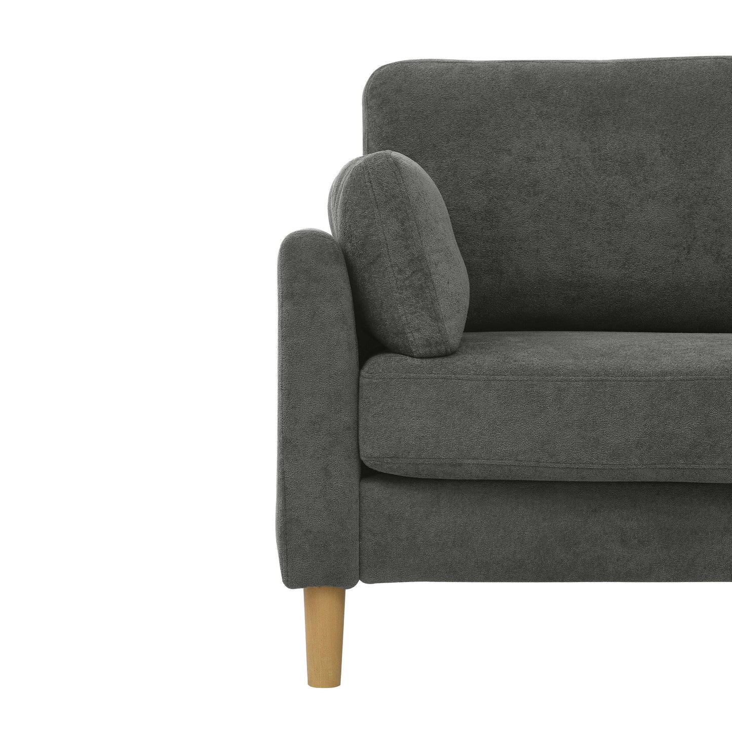 Modern Minimalist 2-Seater Sofa with sturdy wooden legs,plush backrest and armrest cushions