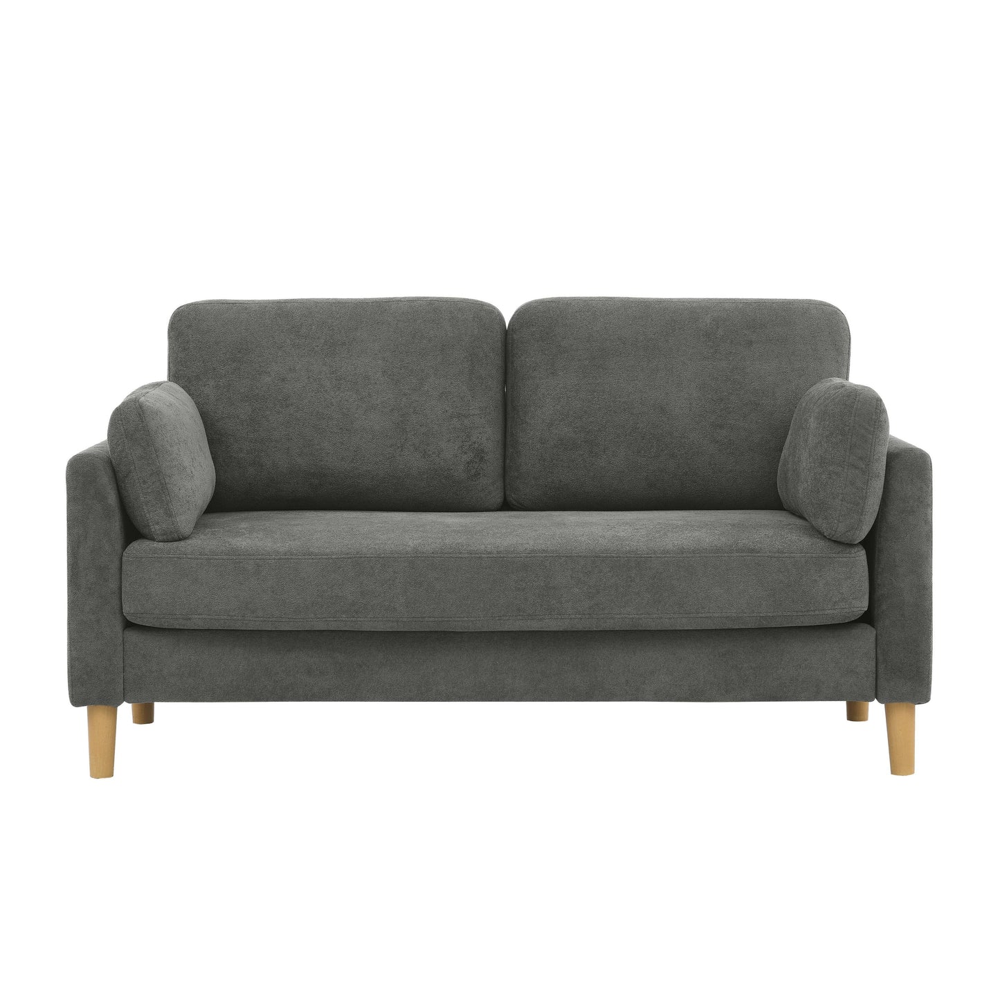Modern Minimalist 2-Seater Sofa with sturdy wooden legs,plush backrest and armrest cushions