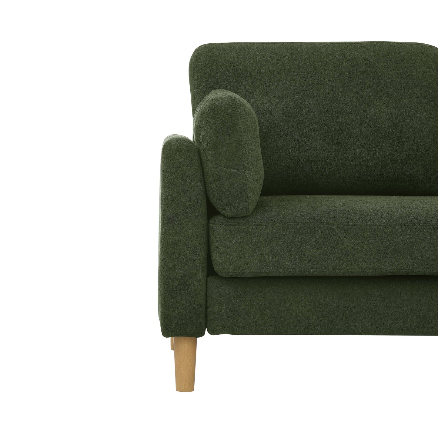 Modern Minimalist 2-Seater Sofa with sturdy wooden legs,plush backrest and armrest cushions