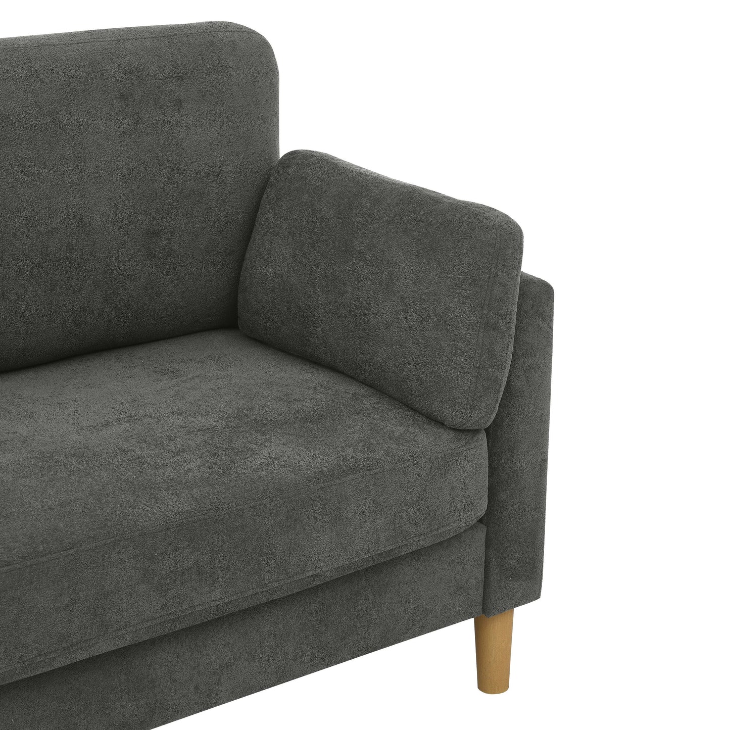 Modern Minimalist 2-Seater Sofa with sturdy wooden legs,plush backrest and armrest cushions