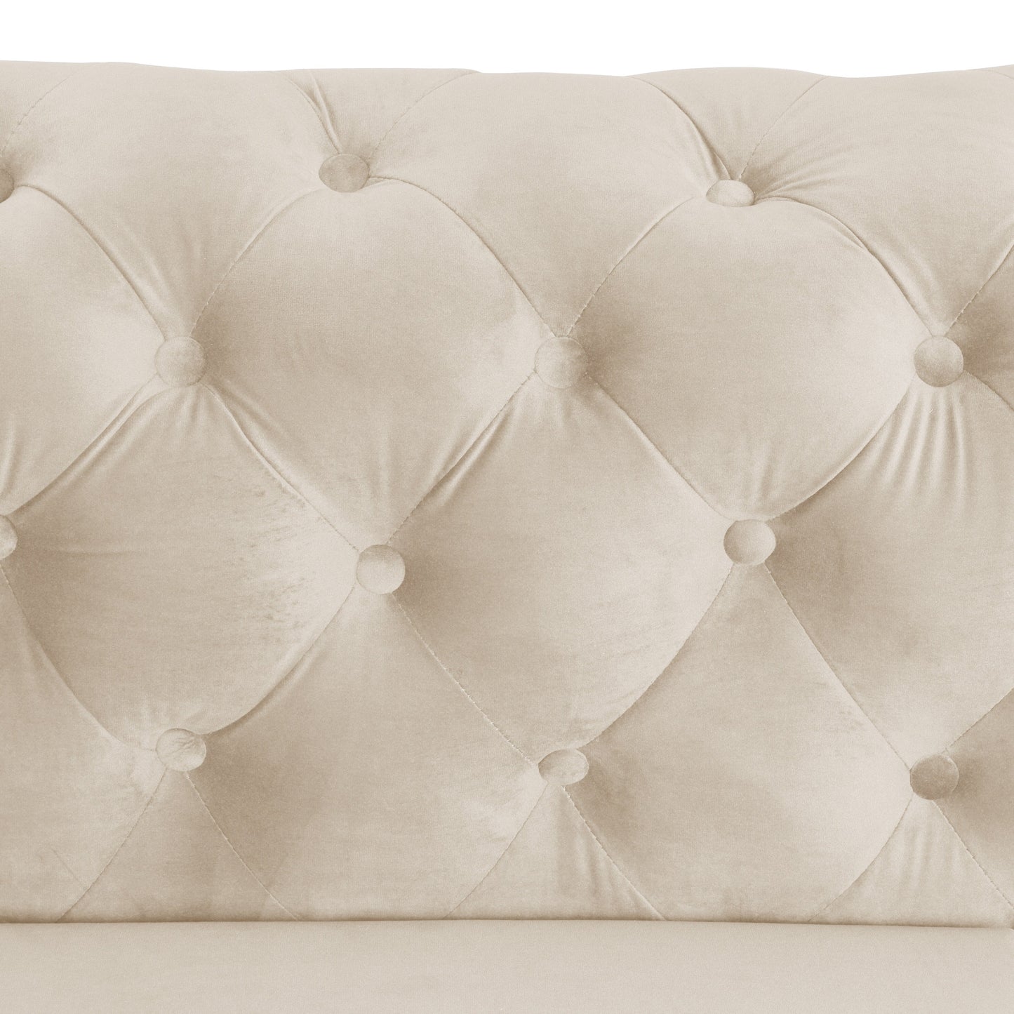 Morden Fort Modern Velvet Sofa with Button Tufted,Solid Wood Frame and Iron Legs