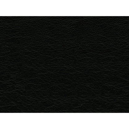 Picket House Furnishings Hanson Leather Sofa in Black