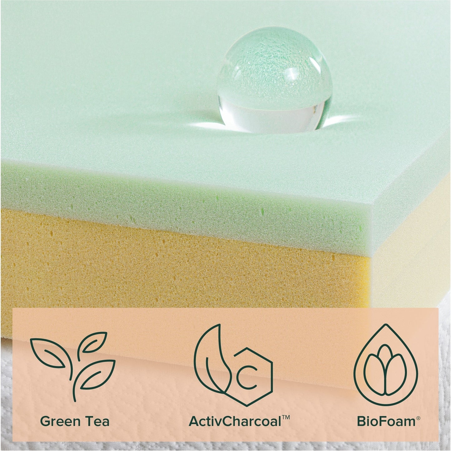 Priage by ZINUS 8-inch Green Tea Element Memory Foam Mattress
