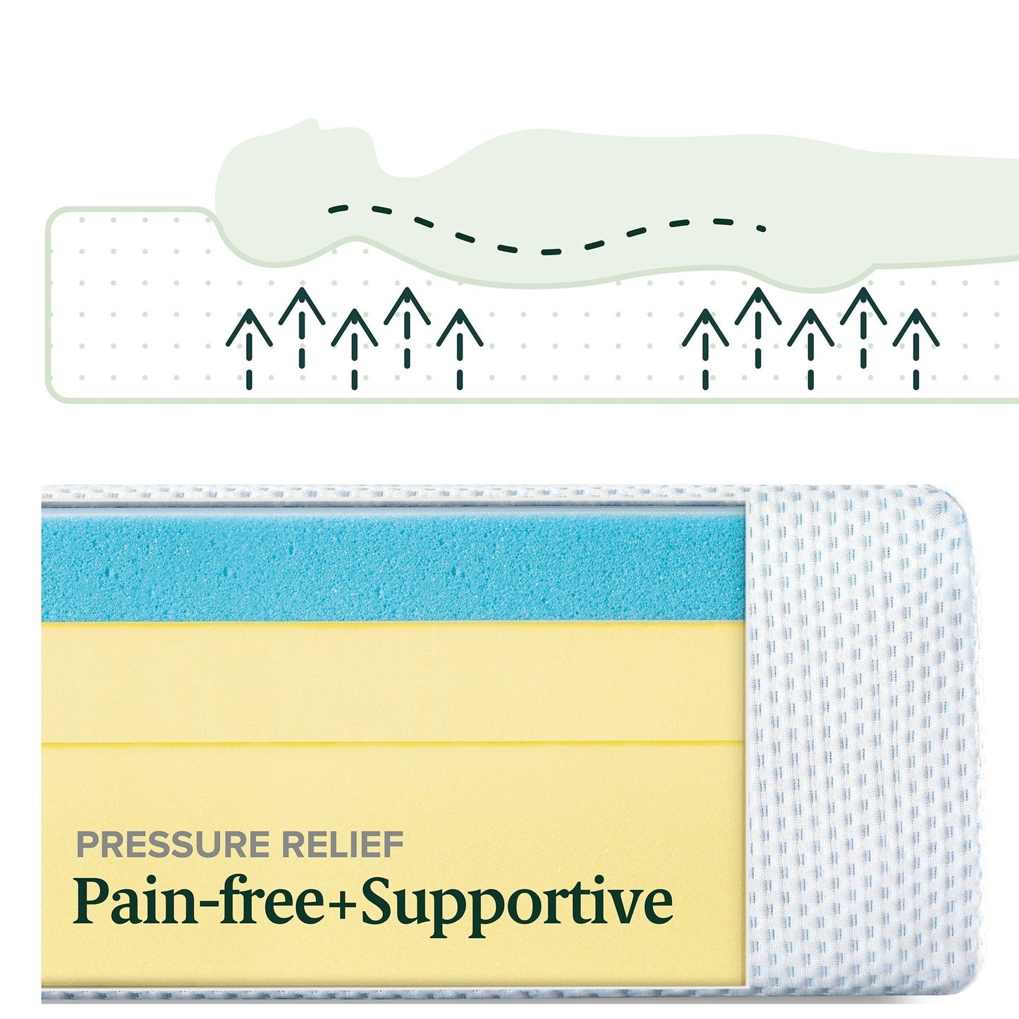 Priage by Zinus 10-inch Green Tea Gel Memory Foam Mattress