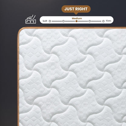 Queen Mattress, 10 Inch Plush Hybrid Mattress with Gel Memory Foam, Fiberglass-Free Mattress in a Box