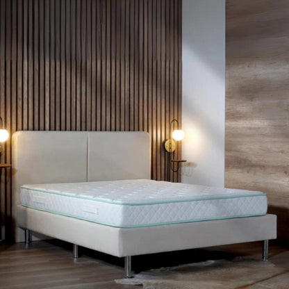 Queen Size- 9-inch Excellence - Medium Tight-Top Hybrid Aloe Vera Foam Encased Pocket Coil Mattress