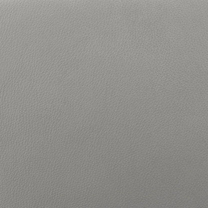 Rosalyn Zero Gravity Silver and Gray Leather Power Recliner with Power Headrest