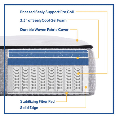 Sealy 10-Inch Encased Coil Innerspring Mattress in a Box