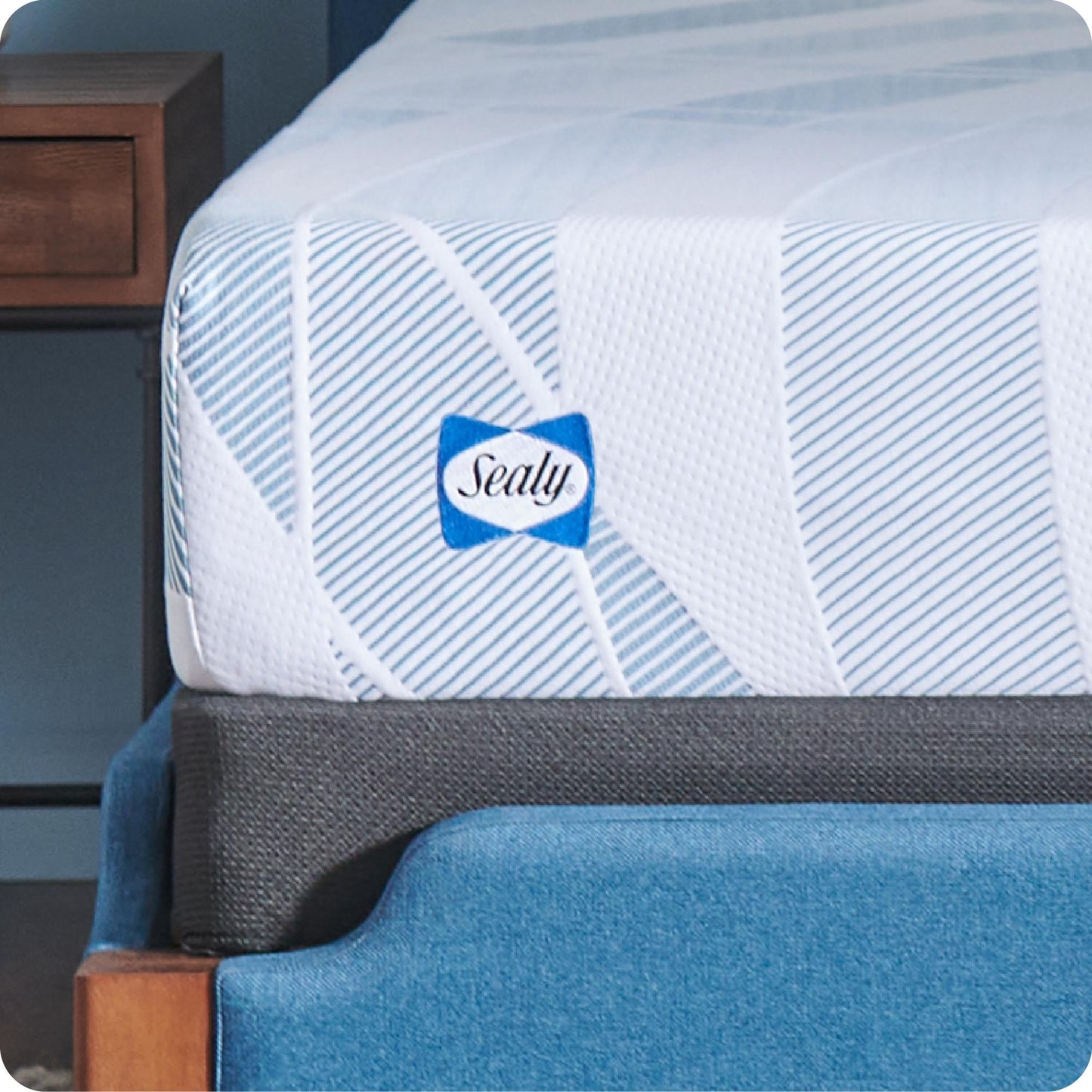 Sealy Dreamlife 10 Foam Mattress-in-a-Box