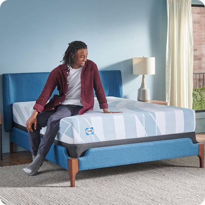 Sealy Dreamlife 10 Foam Mattress-in-a-Box