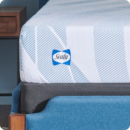 Sealy Dreamlife 10 Foam Mattress-in-a-Box