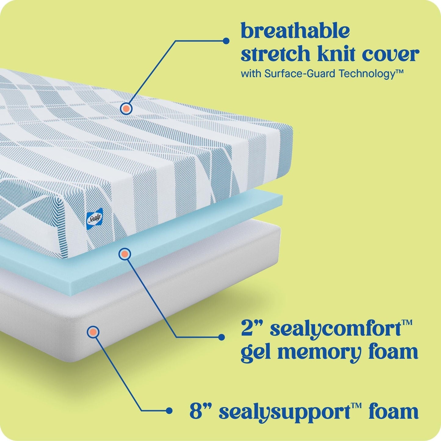 Sealy Dreamlife 10 Foam Mattress-in-a-Box