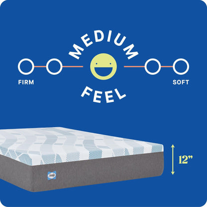 Sealy Dreamlife 12 Hybrid Mattress-in-a-Box