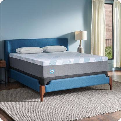 Sealy Dreamlife 12 Hybrid Mattress-in-a-Box