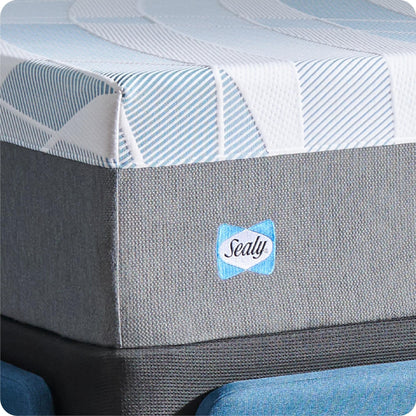 Sealy Dreamlife 14 Foam Mattress-in-a-Box