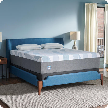 Sealy Dreamlife 14 Foam Mattress-in-a-Box