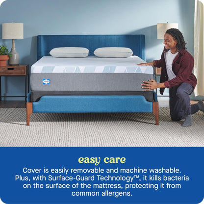 Sealy Dreamlife 14 Foam Mattress-in-a-Box