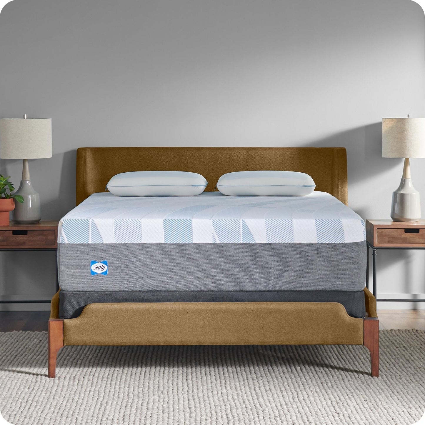 Sealy Dreamlife 14 Foam Mattress-in-a-Box