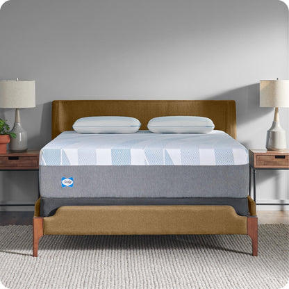 Sealy Dreamlife 14 Foam Mattress-in-a-Box