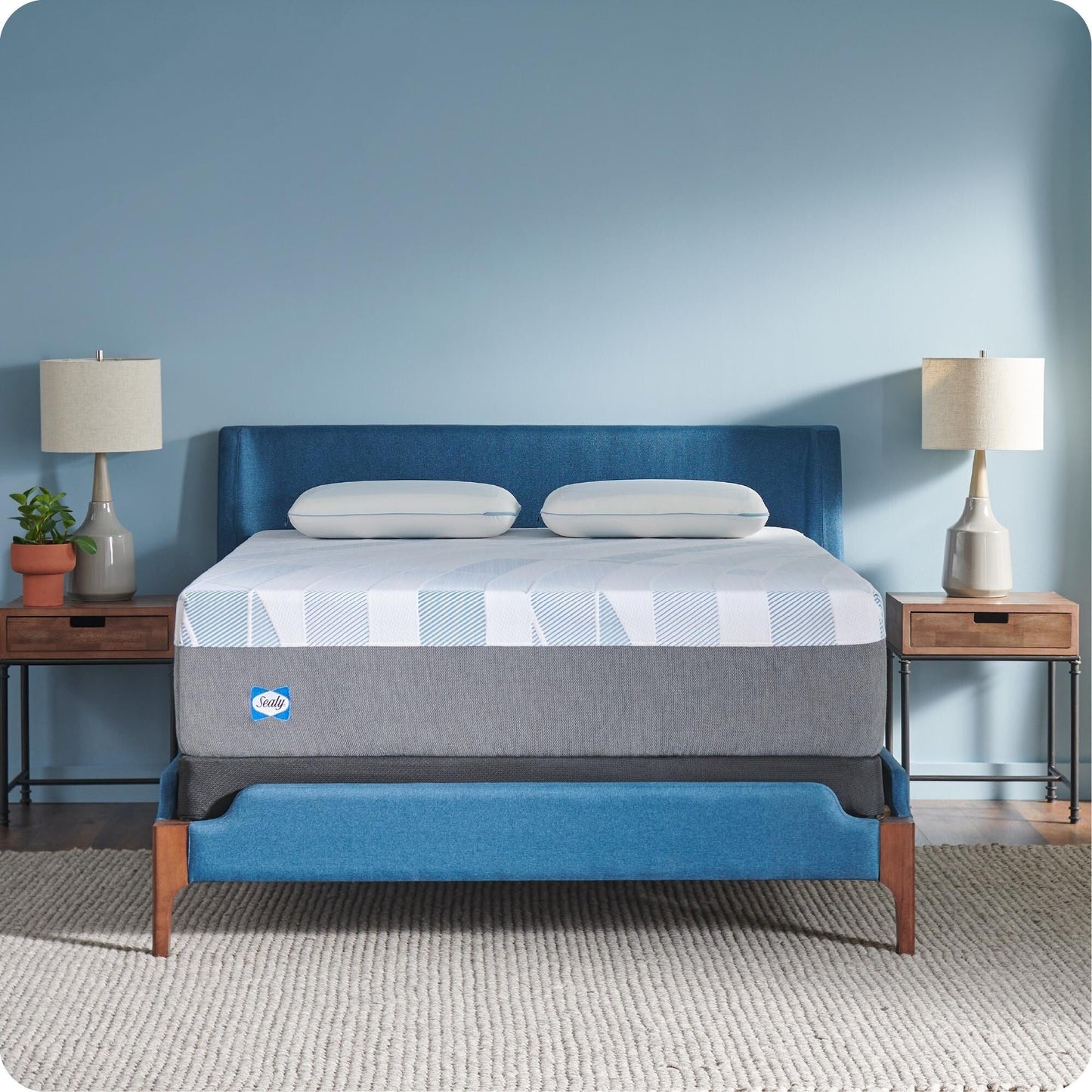 Sealy Dreamlife 14 Hybrid Mattress-in-a-Box