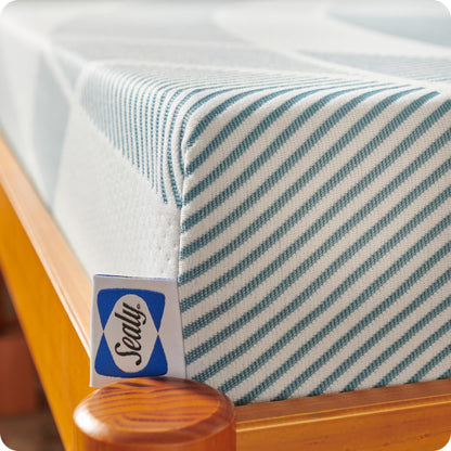 Sealy Dreamlife 6 Foam Mattress-in-a-Box