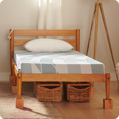 Sealy Dreamlife 6 Foam Mattress-in-a-Box