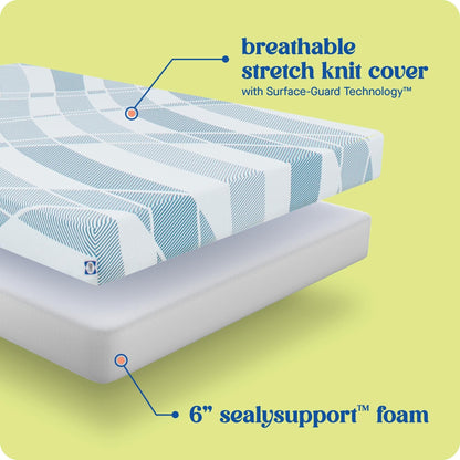 Sealy Dreamlife 6 Foam Mattress-in-a-Box