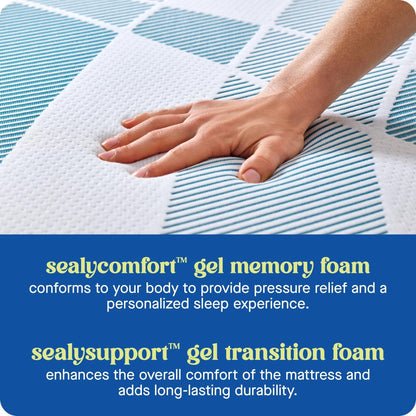 Sealy Dreamlife 8 Foam Mattress-in-a-Box