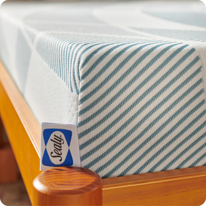 Sealy Dreamlife 8 Foam Mattress-in-a-Box