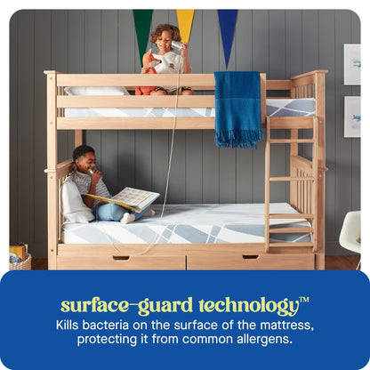 Sealy Dreamlife 8 Foam Mattress-in-a-Box