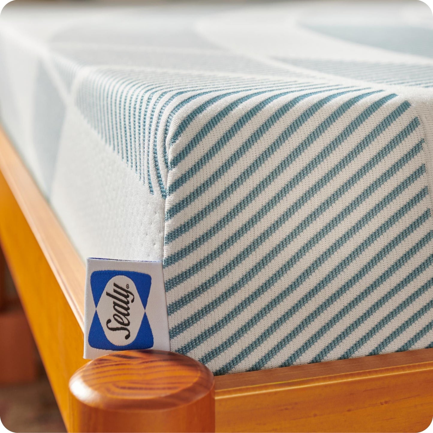 Sealy Dreamlife 8 Foam Mattress-in-a-Box