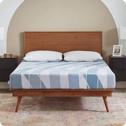 Sealy Dreamlife 8 Foam Mattress-in-a-Box