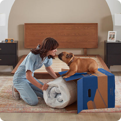 Sealy Dreamlife 8 Foam Mattress-in-a-Box