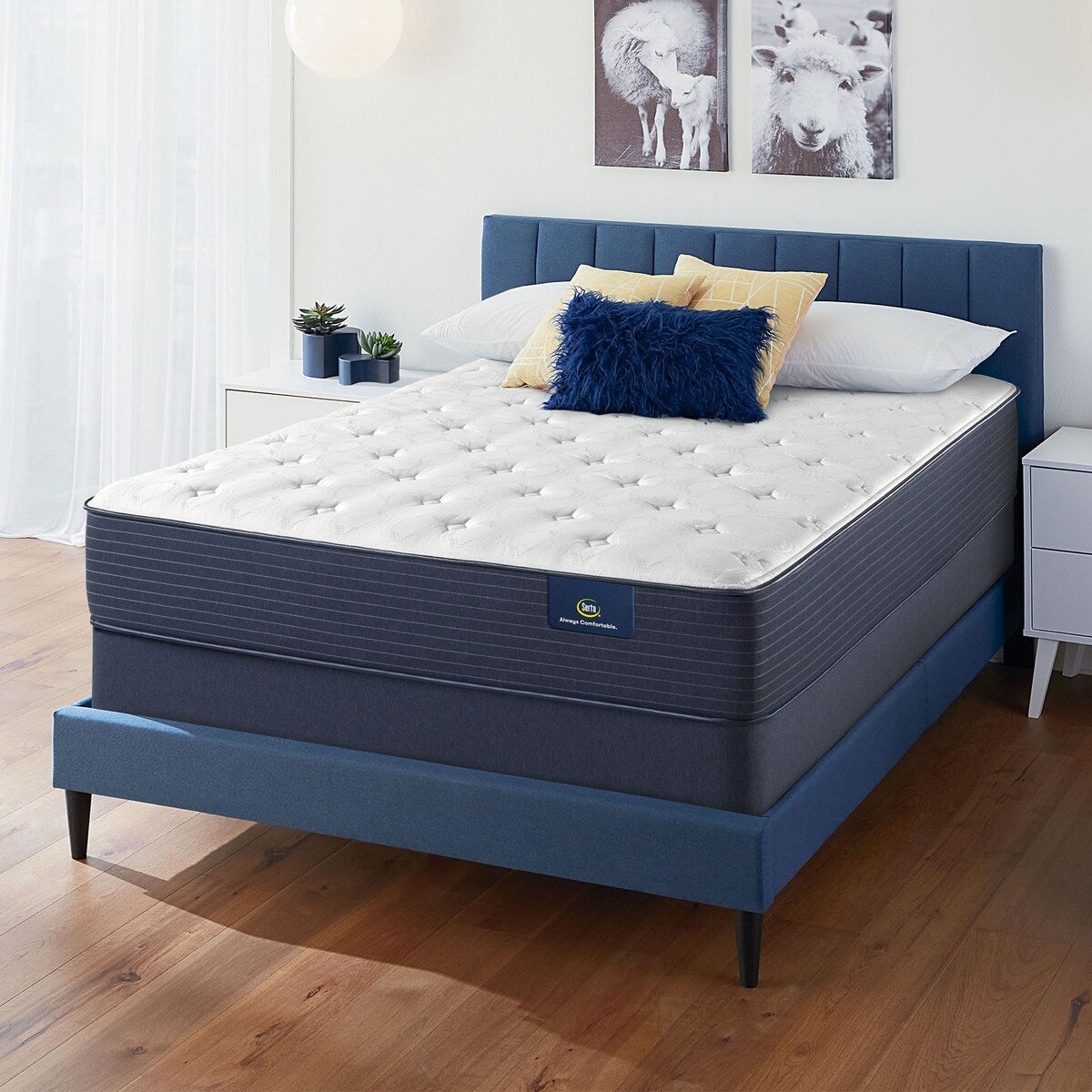 Serta Clarks Hill 11 Plush Mattress