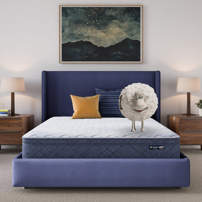 Serta Five Star Mattress Sleep to Go 10 Plush Pillow Top Mattress in a Box