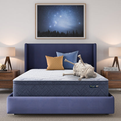 Serta Five Star Mattress Sleep to Go 12 Plush Pillow Top Mattress in a Box