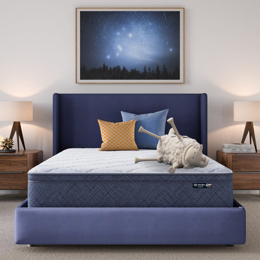 Serta Five Star Mattress Sleep to Go 12 Plush Pillow Top Mattress in a Box