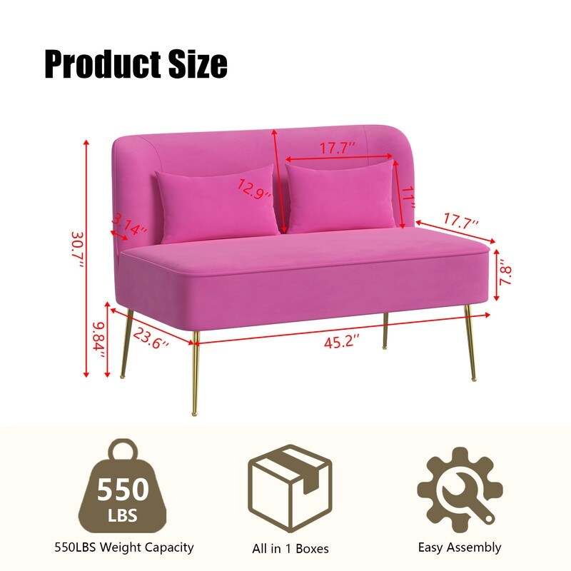 Tuft Velvet Thick Cushion Metal Loveseat