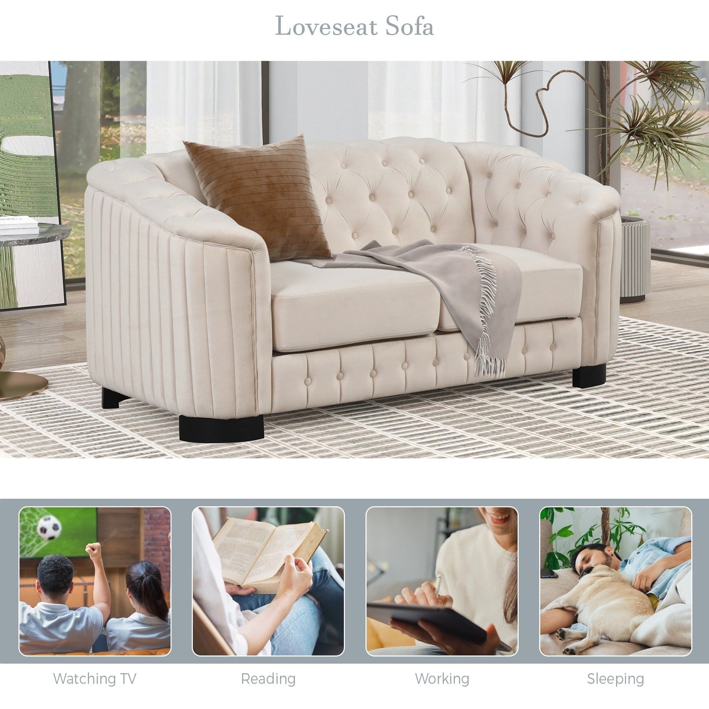 Velvet Upholstered Loveseat Sofa