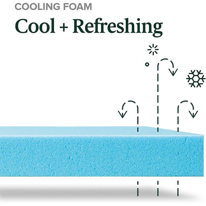 ZINUS 10 Inch Green Tea Cooling Gel Memory Foam Mattress, Cooling Gel Foam, Pressure Relieving, CertiPUR-US Certified
